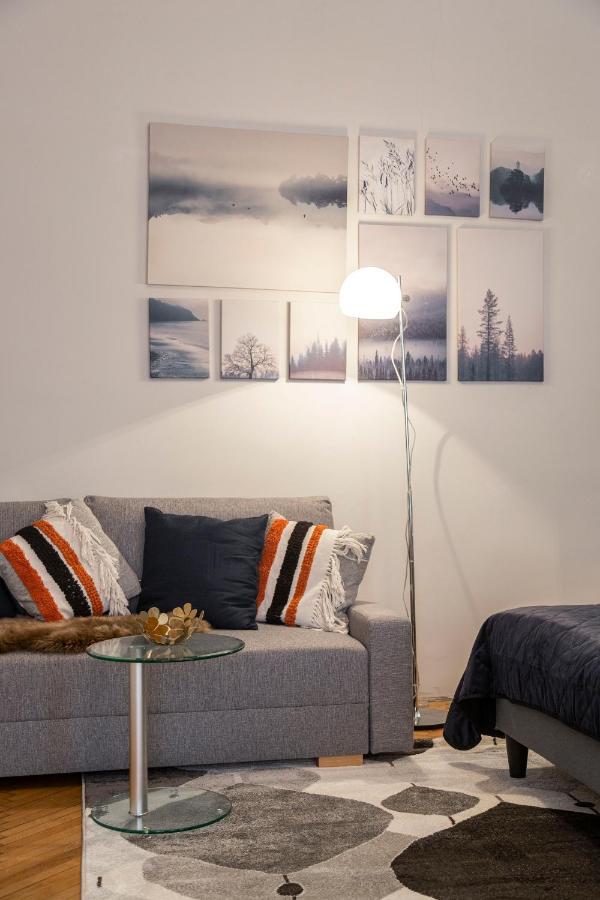 Spacious & Cozy Downtown Apartment With Balcony Budapest Luaran gambar